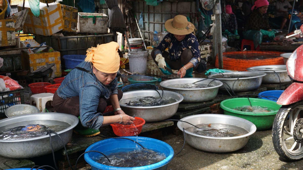 mercado de comidas etnicas chinesas