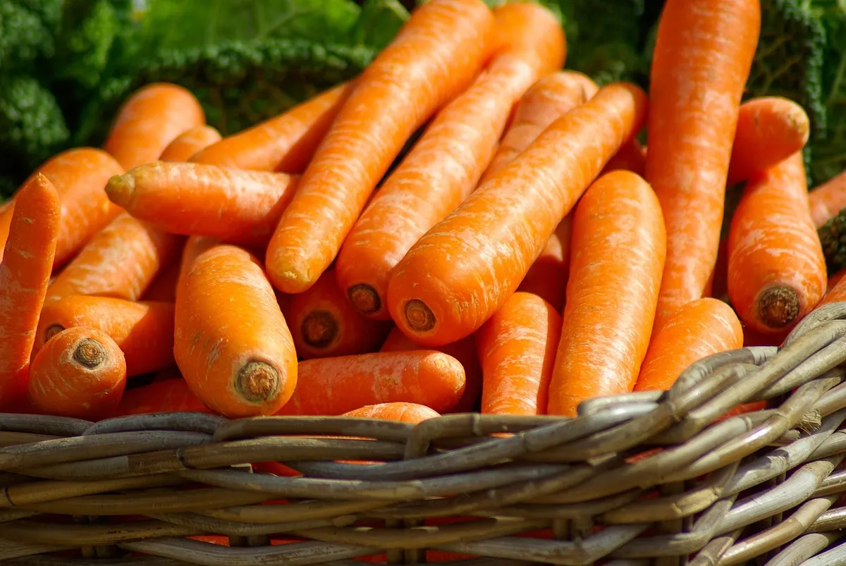 carrots, basket, vegetables, market, food, orange vegetables, harvest, produce, fresh, organic, fresh produce, vegetable basket, carrots, carrots, carrots, carr